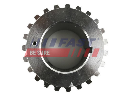 Ruota dentata, Albero a camme - FT45506 FAST