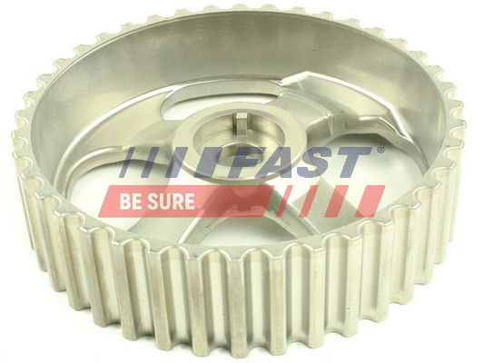 Gear, balance shaft - FT45613 FAST