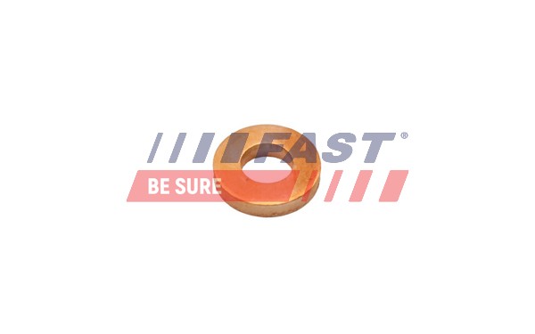 Heat Shield, injection system - FT47801 FAST