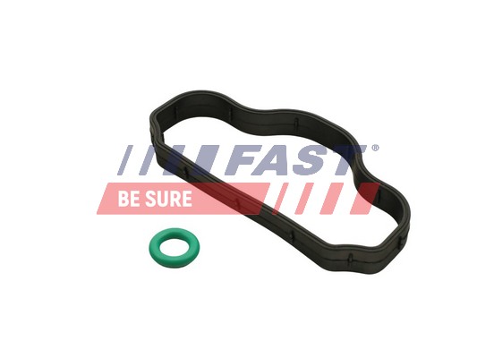 Guarnizione, Bulloni copritestata - FT48302 FAST