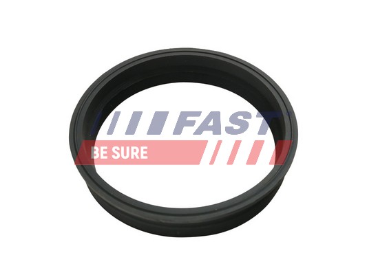 Seal, fuel sender unit - FT48501 FAST