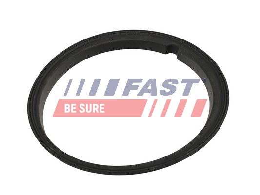 Seal, fuel sender unit - FT48502 FAST