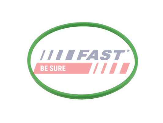 Guarnizione, Pompa carburante - FT48503 FAST