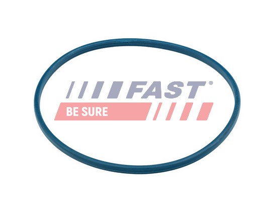 Dichtung, Kraftstoffeinfüllstutzen - FT48504 FAST