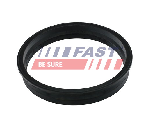 Seal, fuel sender unit - FT48505 FAST