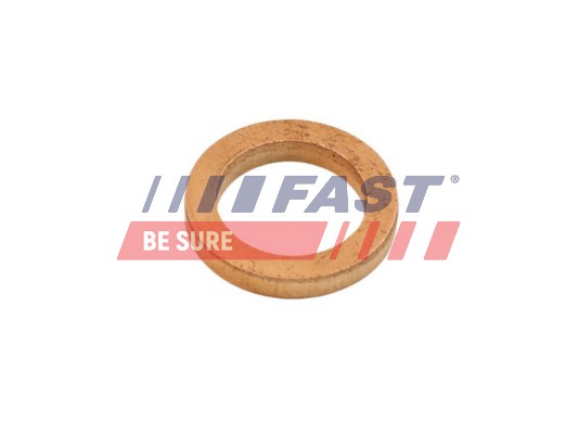 Dichtung, Turbineneinlass (Lader) - FT48802 FAST