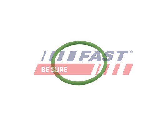 Seal, turbine inlet (charger) - FT48803 FAST