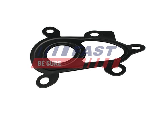 Guarnizione, Collettore gas scarico - FT48805 FAST