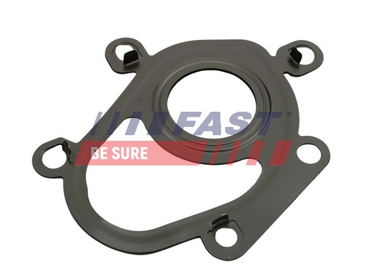 Guarnizione, Compressore - FT48806 FAST