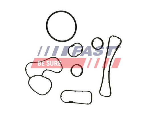 Gasket Set, oil cooler - FT48930 FAST