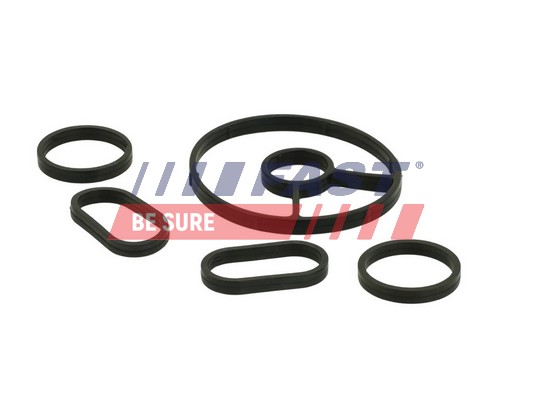 Gasket Set, oil cooler - FT48931 FAST