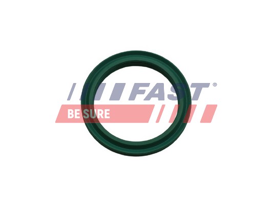 Dichtring, Ladeluftschlauch - FT48933 FAST
