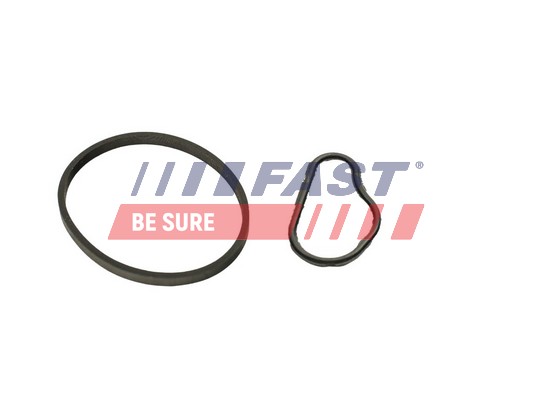 Gasket, vacuum pump - FT48943 FAST