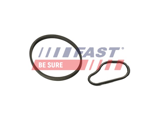 Gasket, vacuum pump - FT48943 FAST