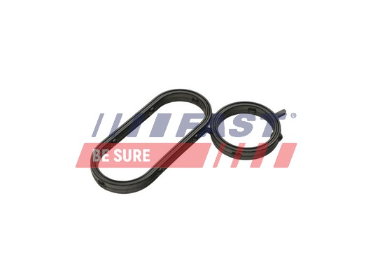 Seal, oil cooler - FT48944 FAST