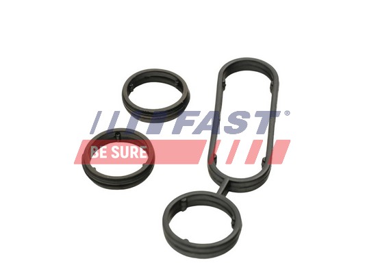 Gasket Set, oil cooler - FT48946 FAST