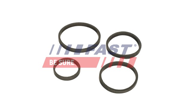 Seal, oil cooler - FT48949 FAST