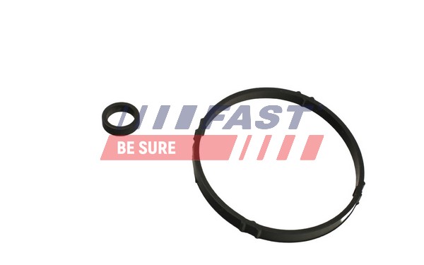Guarnizione, Radiatore olio - FT48952 FAST