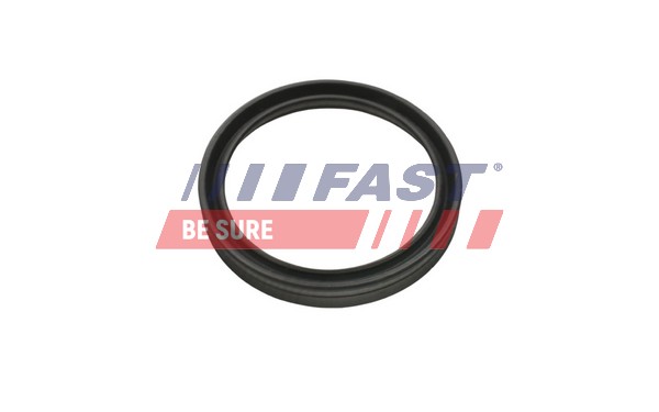 Seal Ring, turbo air hose - FT48956 FAST