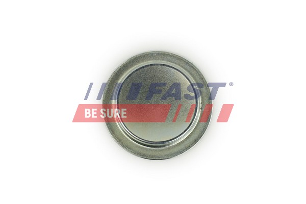 Frost Plug - FT49308 FAST