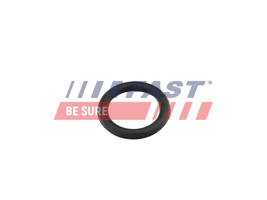 Gasket, intake manifold - FT49419 FAST