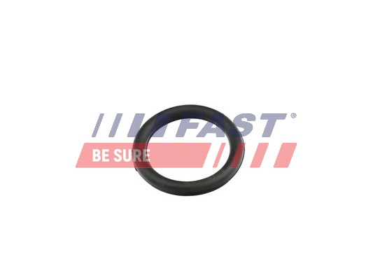 Gasket, intake manifold - FT49420 FAST