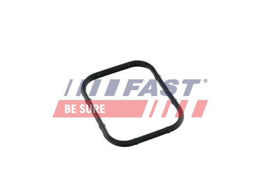 Guarnizione, Collettore aspirazione - FT49421 FAST