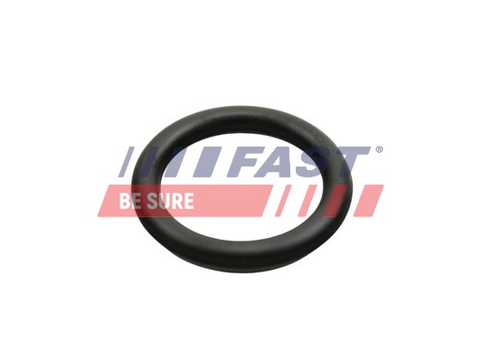 Gasket, intake manifold - FT49426 FAST