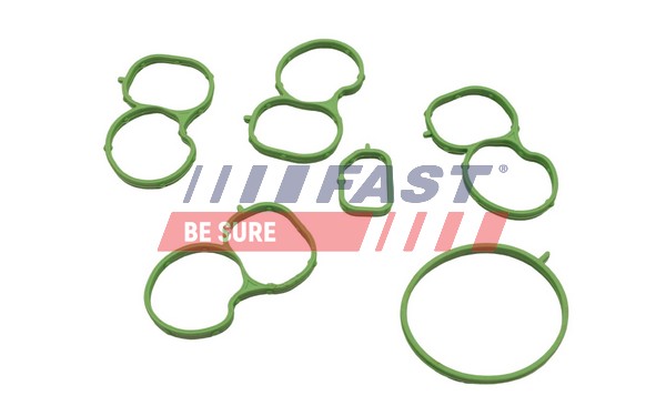 Gasket, intake manifold - FT49455 FAST