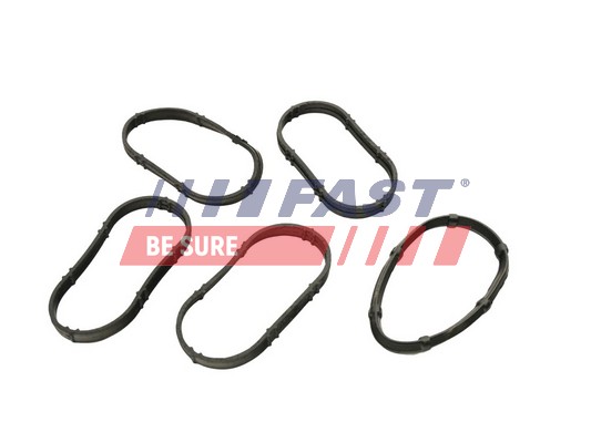 Gasket, intake manifold - FT49456 FAST