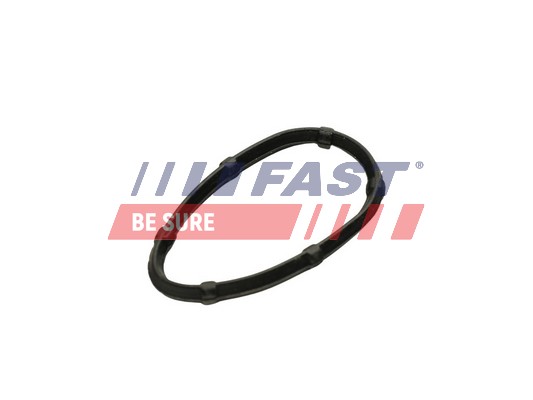 tarpiklis, išleidimo kolektorius - FT49457 FAST