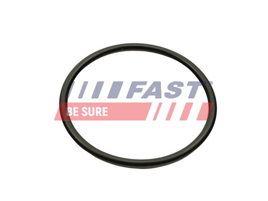 Gasket, intake manifold - FT49460 FAST
