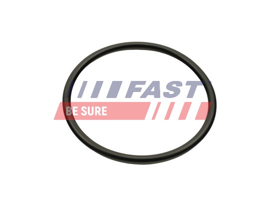 Gasket, intake manifold - FT49460 FAST