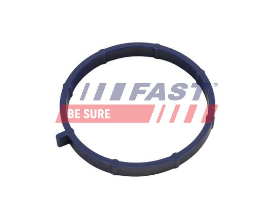 Guarnizione, Collettore aspirazione - FT49467 FAST