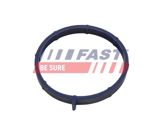 Gasket, intake manifold - FT49467 FAST