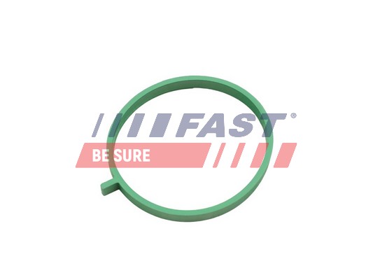 Guarnizione, Collettore aspirazione - FT49472 FAST