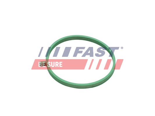 Gasket, intake manifold - FT49472 FAST