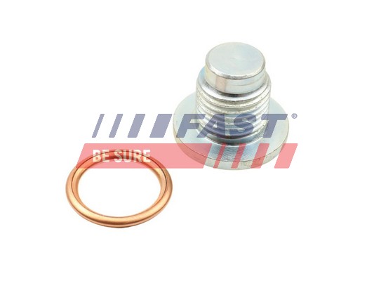 Sealing Plug, oil sump - FT49502 FAST