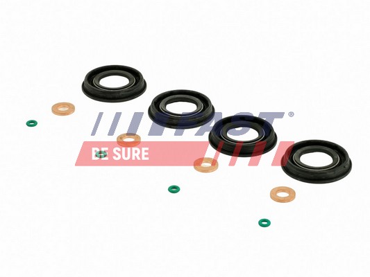 Seal Kit, injector nozzle - FT49651 FAST