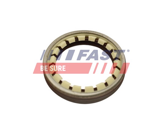 Shaft Seal, wheel bearing - FT49806 FAST