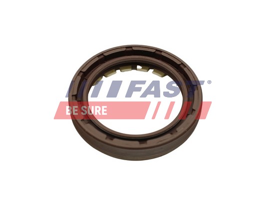 Shaft Seal, wheel bearing - FT49806 FAST