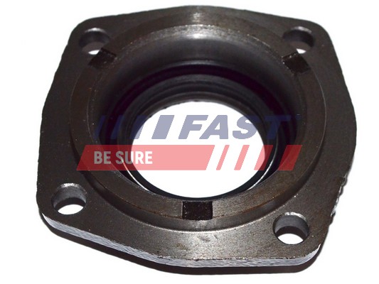 Wellendichtring, Differential - FT49838 FAST