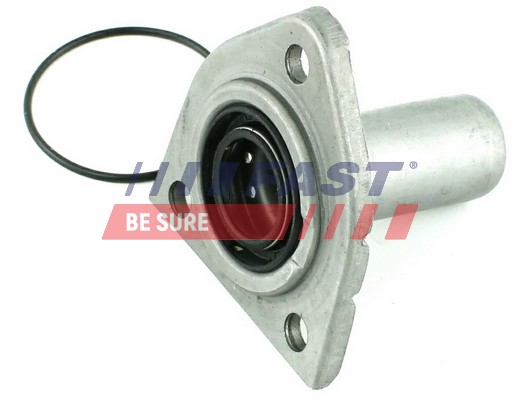 Seal Ring, oil drain plug - FT49840 FAST