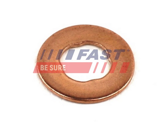 Seal Ring, nozzle holder - FT49845 FAST
