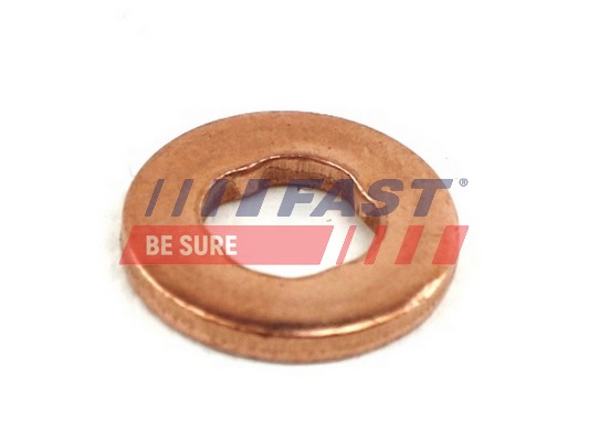 Seal Ring, nozzle holder - FT49846 FAST