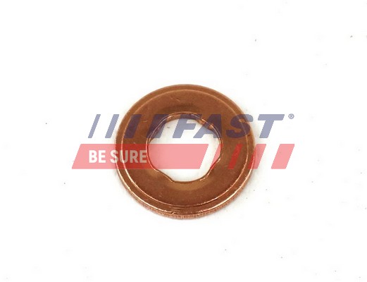 Anello tenuta, Portainiettore - FT49847 FAST
