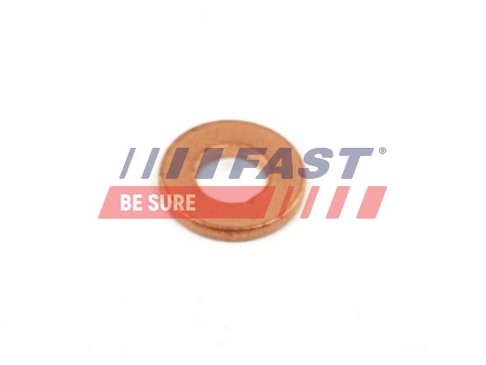Seal Ring, nozzle holder - FT49848 FAST