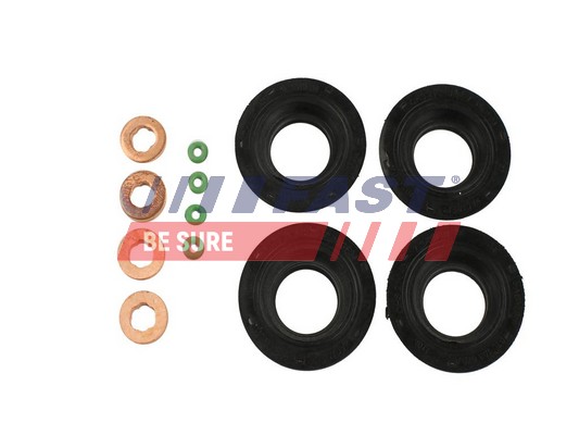 Seal Kit, injector nozzle - FT49850 FAST