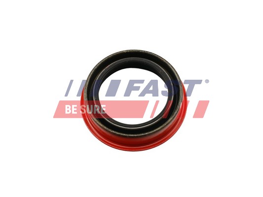 Shaft Seal, differential - FT49851 FAST