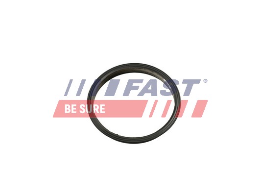 Gasket, vacuum pump - FT49853 FAST